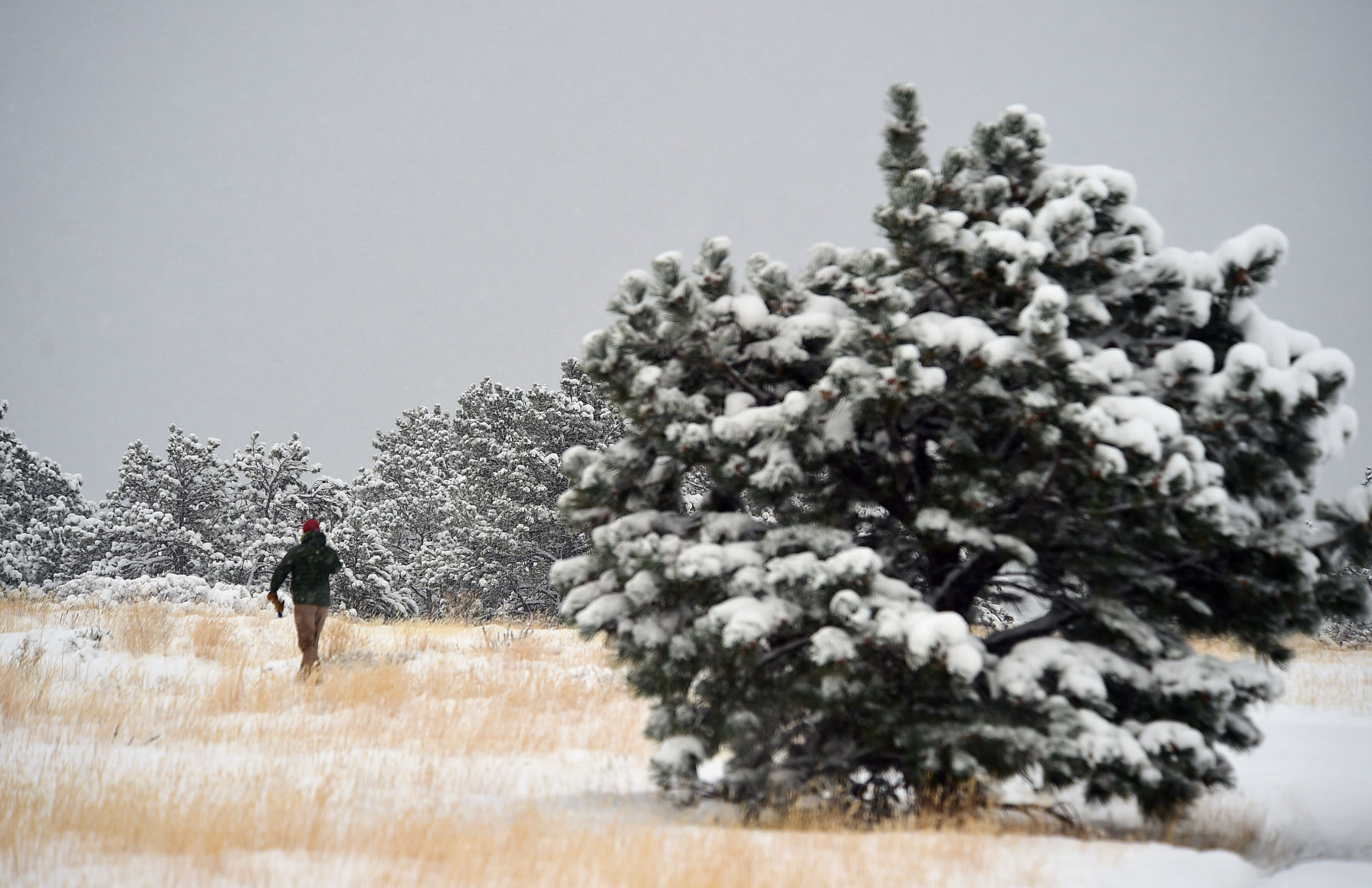 Billings snow scenes